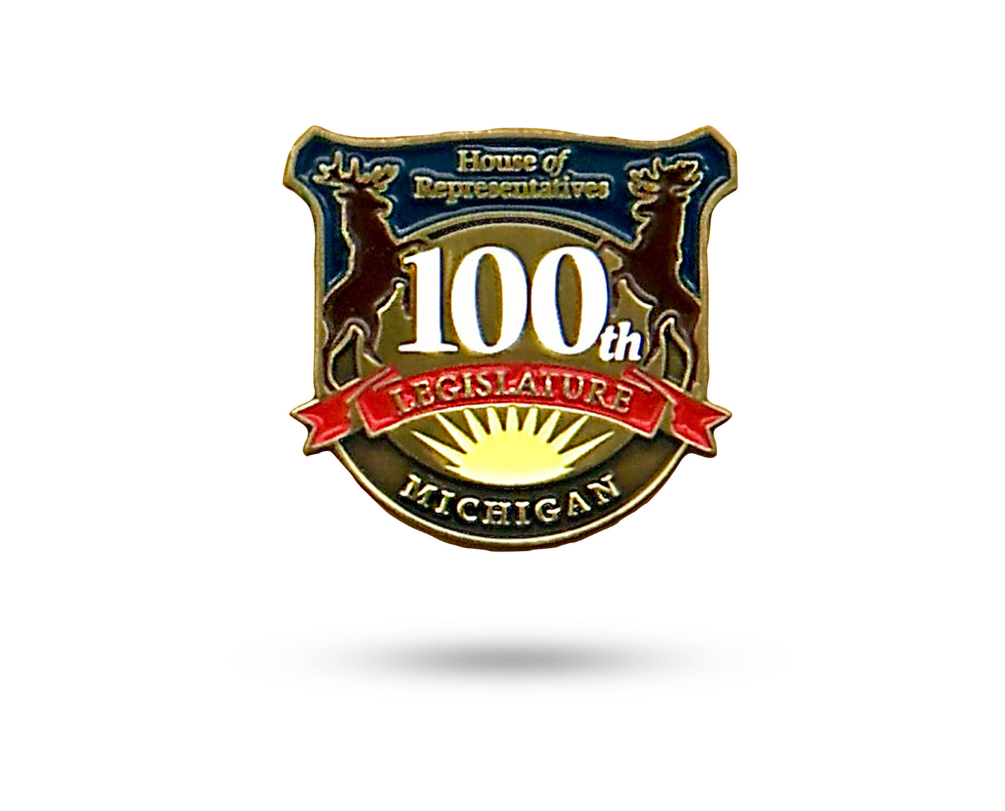100th Legislature House of Representatives Pin