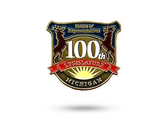 100th Legislature House of Representatives Pin