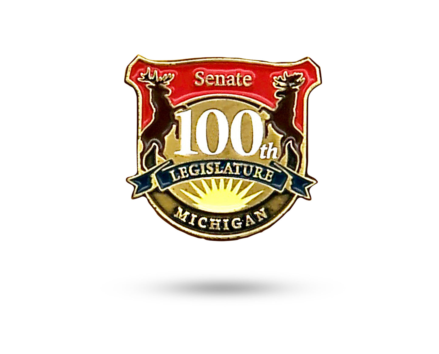100th Legislature Senate Pin